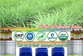 Tinh dầu Sả Chanh nguyên chất giúp đuổi muỗi 1000ml